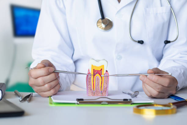 Best Emergency Dental Care for Broken or Chipped Teeth in St Bernard, OH